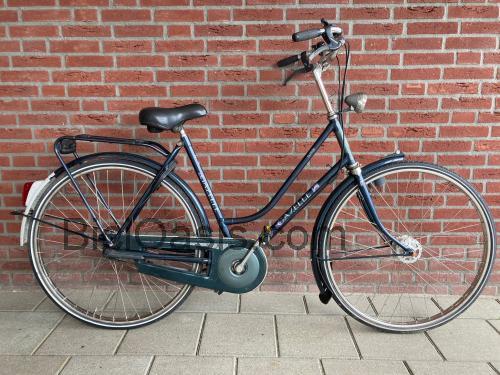 Gazelle Solide opinión y ficha técnica